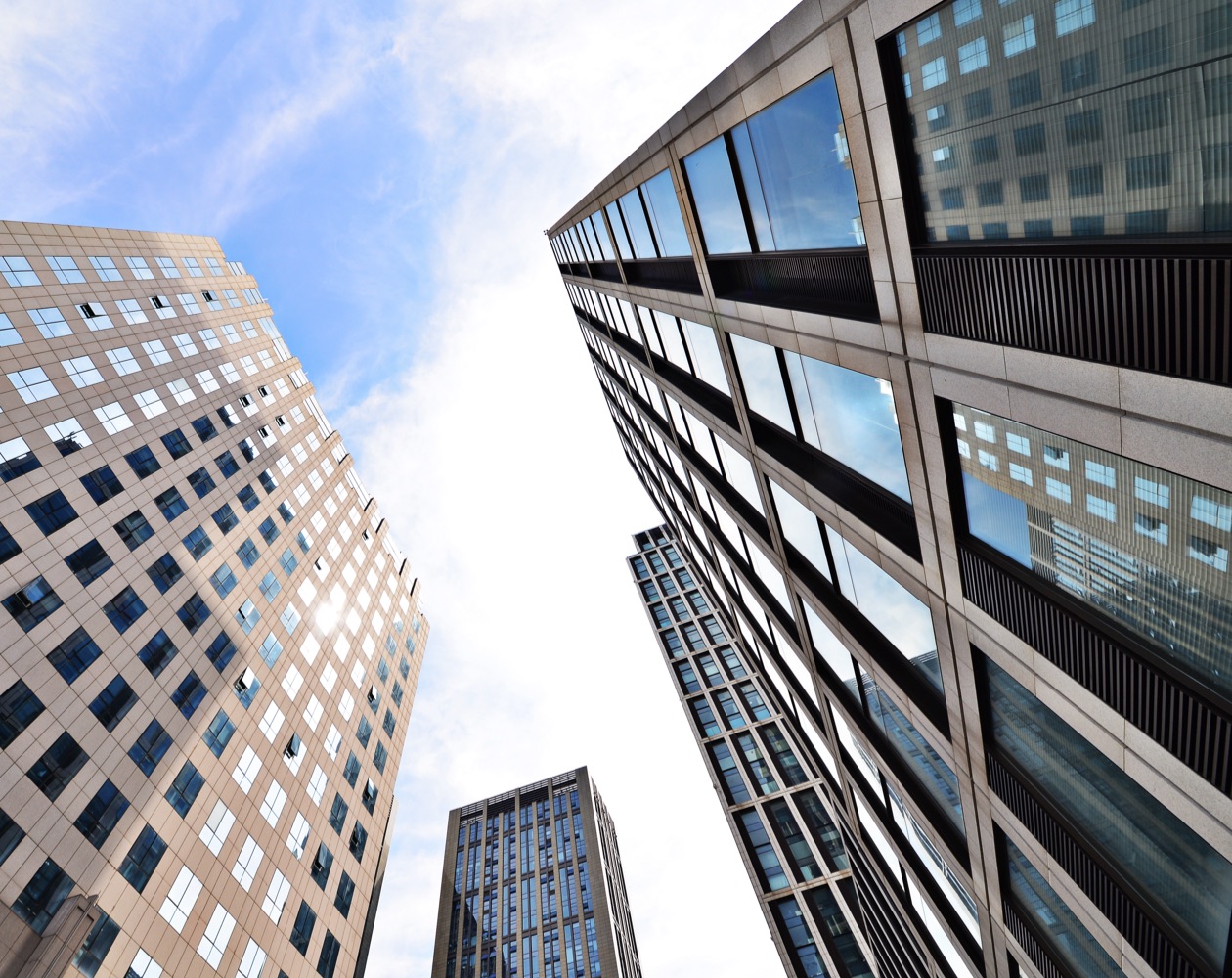 ERP Consulting – Einblick 1